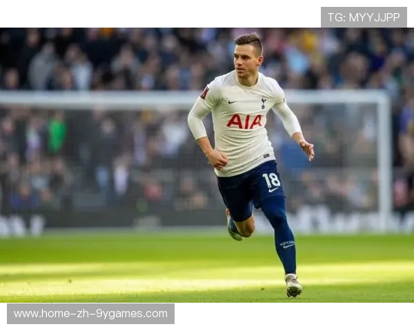 全能人生：前热刺铁卫足坛传奇精彩开启娱乐新篇章